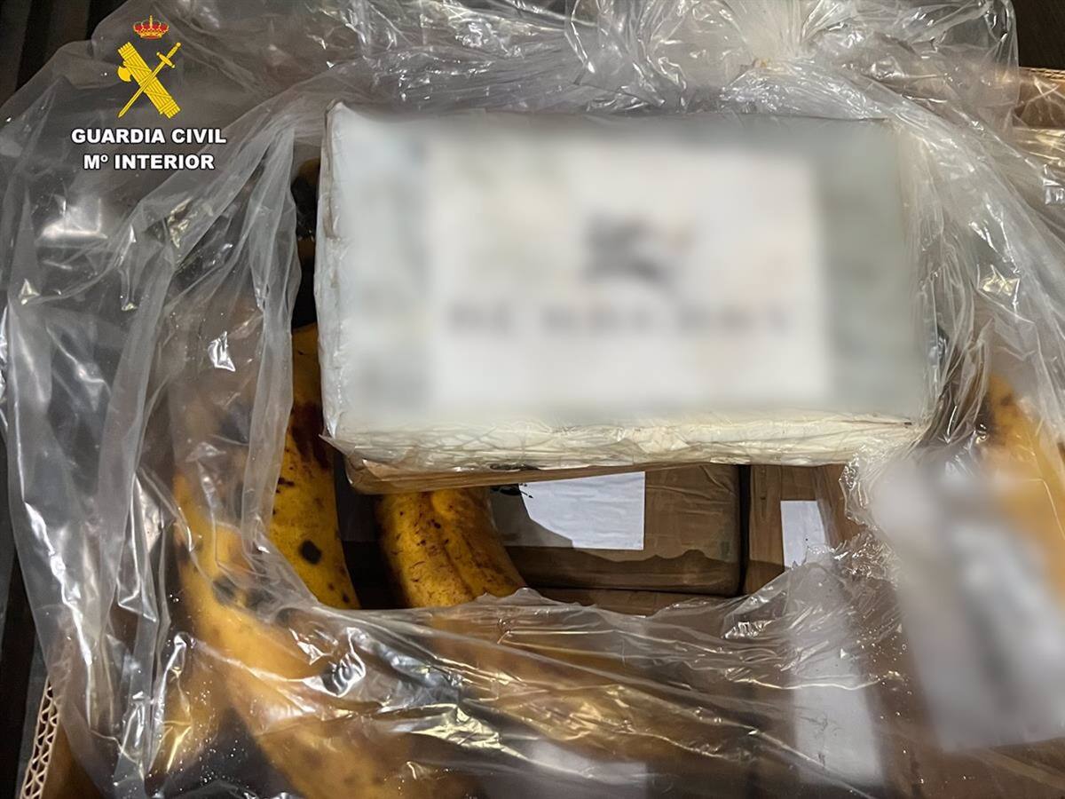 Cae una red que introducía cocaína por Algeciras en contenedores de bananas