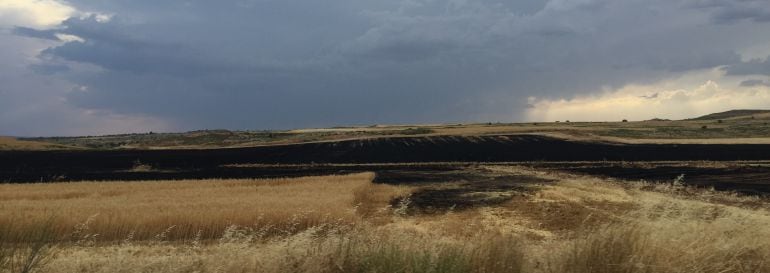 Superficie quemada por un incendio en un campo de cereal.