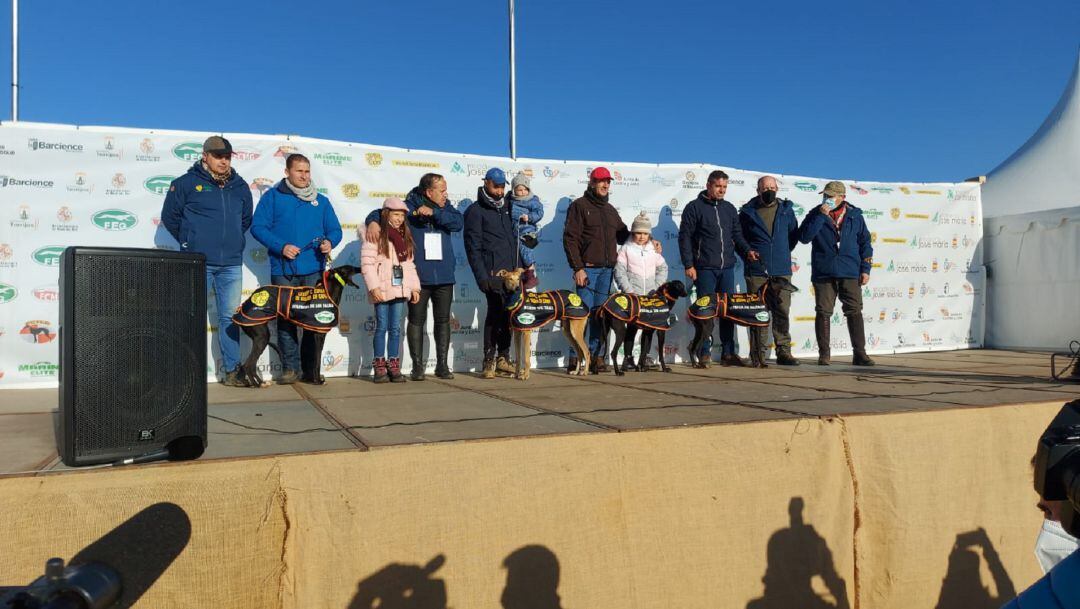 Semifinalistas del Campeonato de Galgos en su presentación antes de las carreras