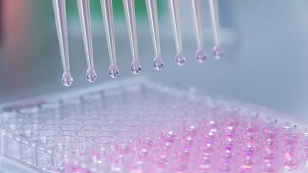 En busca de los puntos débiles del cáncer