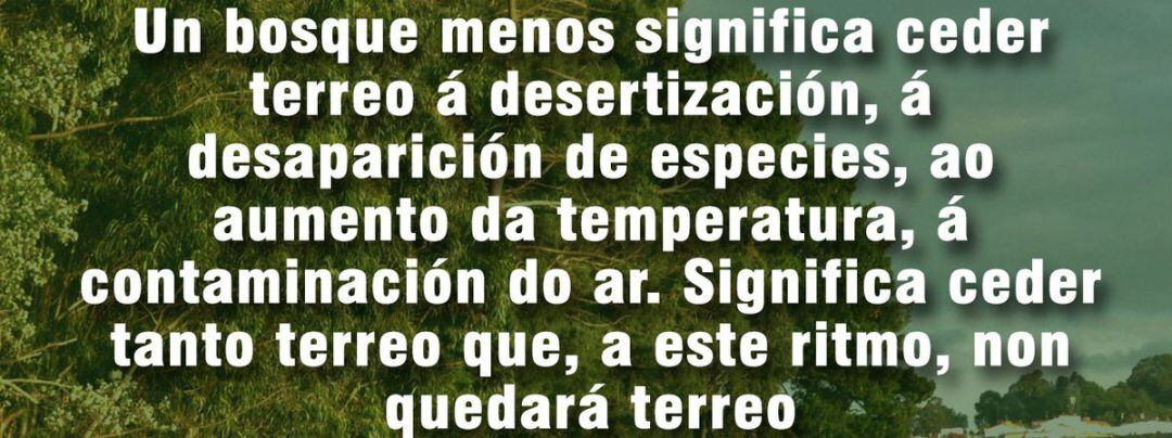 Convocatoria de limpieza de los bosques de Fridays for future A Coruña