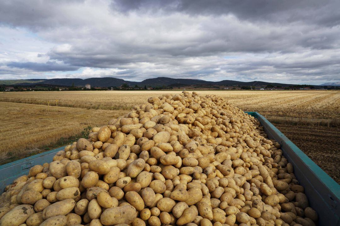 Mercadona incrementa la adquisición de patatas de origen nacional