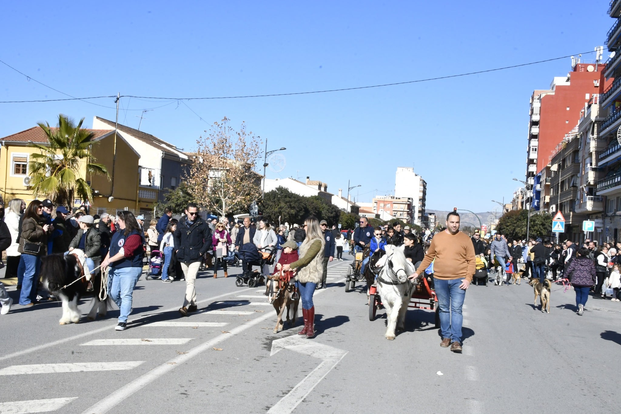 Desfile de San Antón. Villena