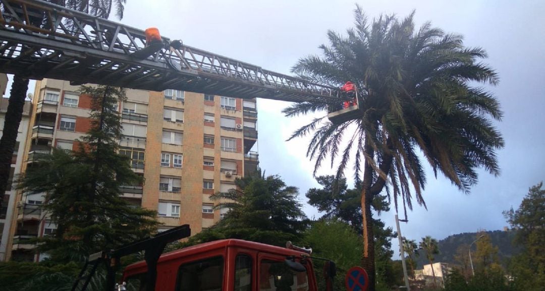 Bomberos se afanan en solucionar el problema