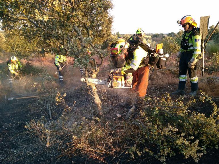 Casi tres de cada diez incendios registrados en la región son intencionados.