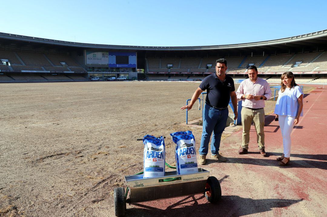 La renovación del césped de Chapín encara su recta final  