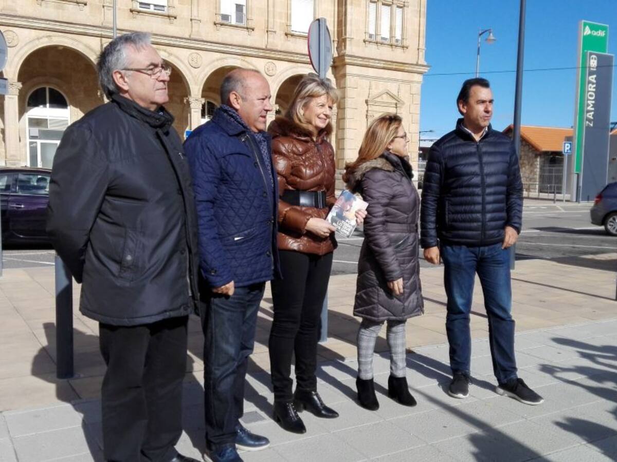 El PP apoyará la declaración de Servicio Público para el tren a Madrid