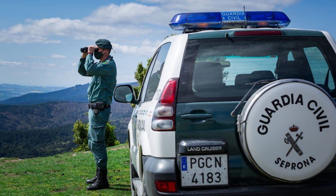 La Guardia Civil denuncia a dos personas en el término de Artajona por matar erizos