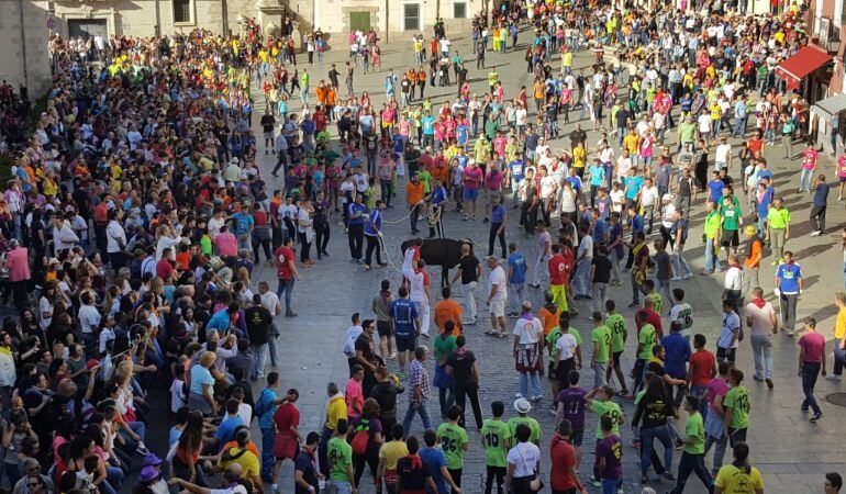 Un momento de la tercera suelta de vaquillas de San Mateo 2016