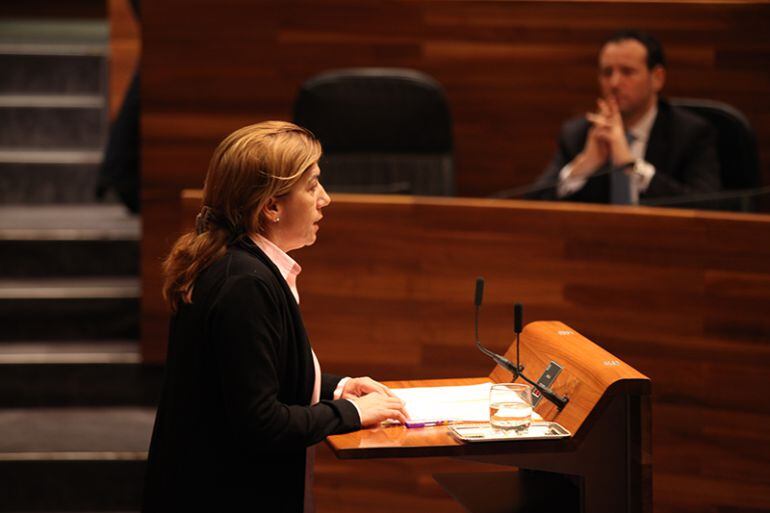 La diputada Rosa Espiño comparece ante la Junta General del Principado.