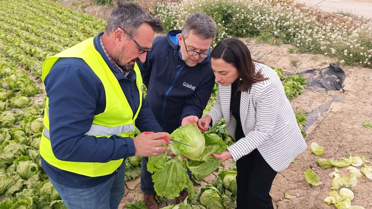 Plácido Pérez Chuecos, presidente de COAG Lorca.