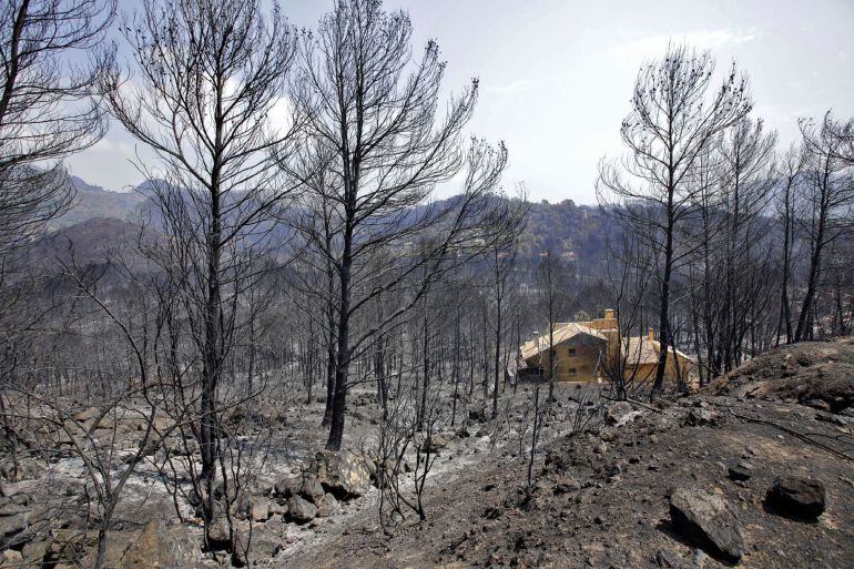 Vista de una de las viviendas afectadas por el incendio forestal de Llutxent en la zona de la Marxuqera (Gandía)
