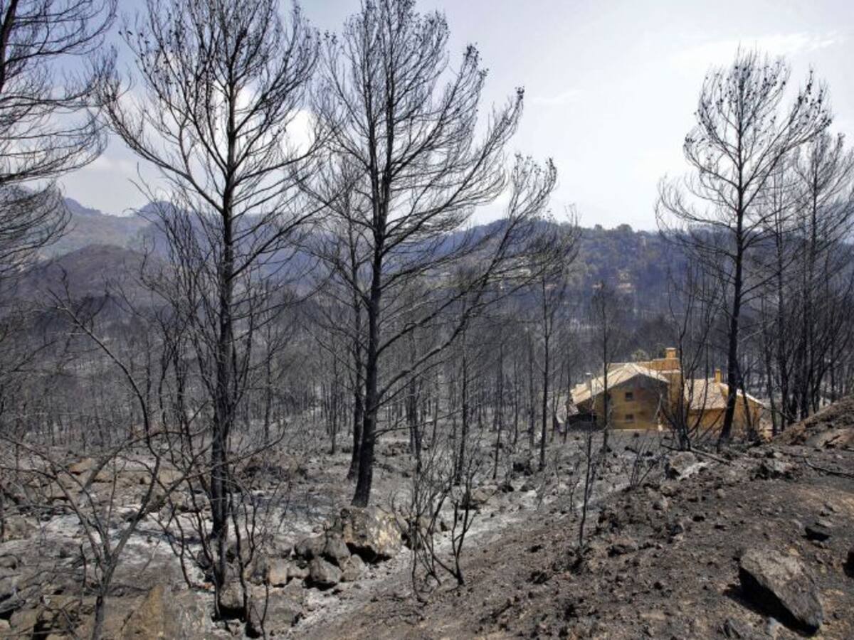Toni Gaspar: "Ni con todo el presupuesto de la Diputación podríamos tener los bosques limpios"