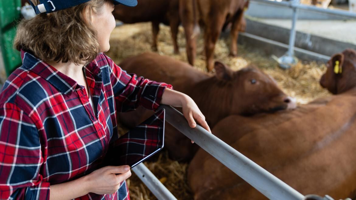 Mujer ganadera trabajando