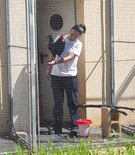 Uno de los huéspedes del centro de acogida de avifauna y animales exóticos de Nazaret