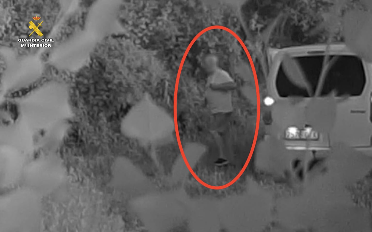 Investigado un hombre por poner trampas de caza ilegal en una zona protegida de Albelda de Iregua