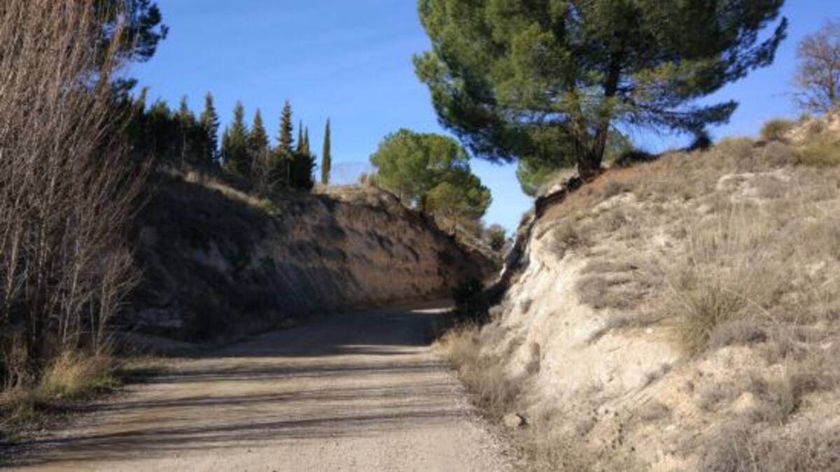 De ruta por la vía Negrín, entre Tarancón y Belinchón, en busca del tren de los 40 días