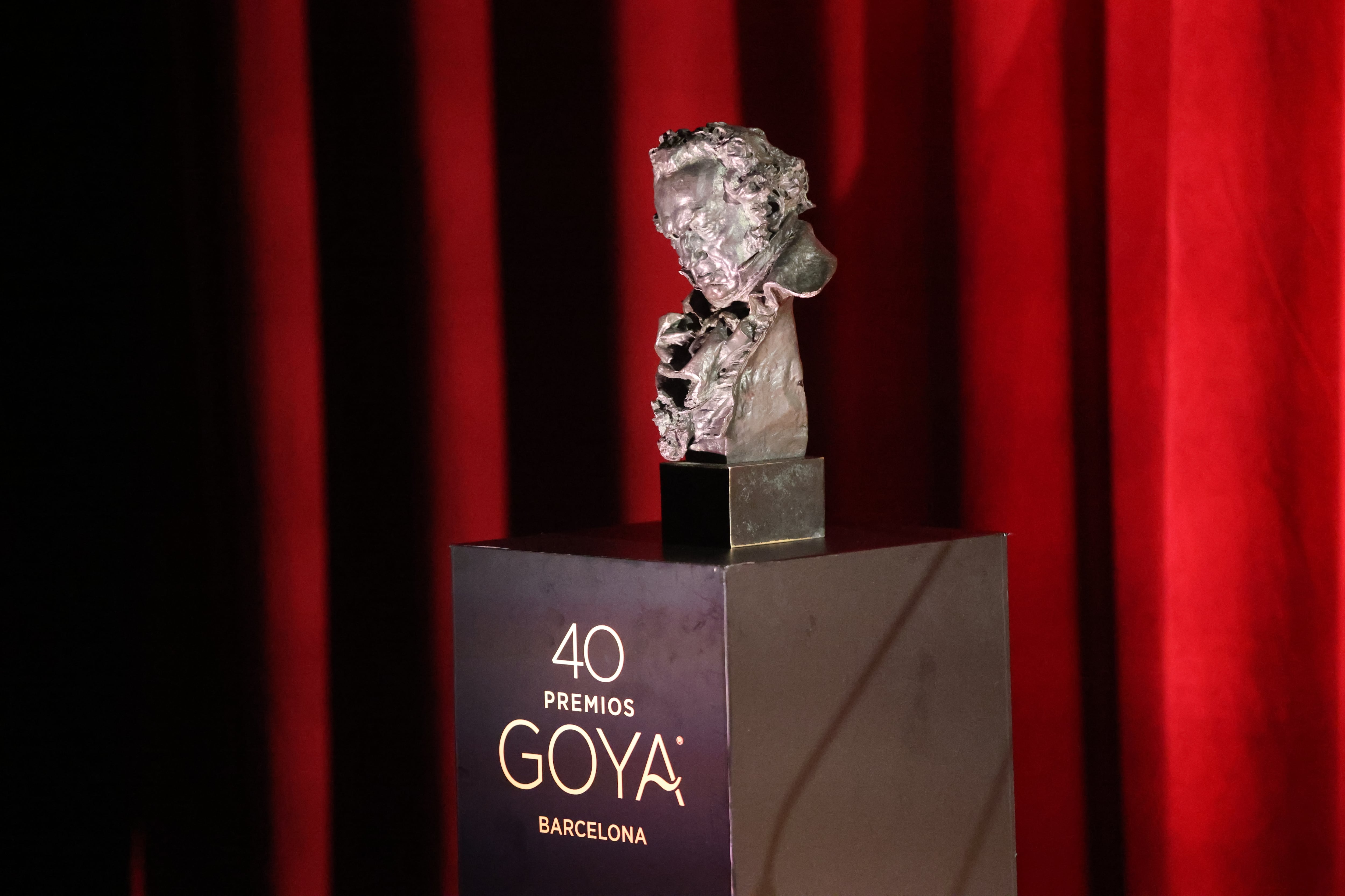 Raul Terrel / Europa Press. Un Goya en la 40 edición de los premios.
