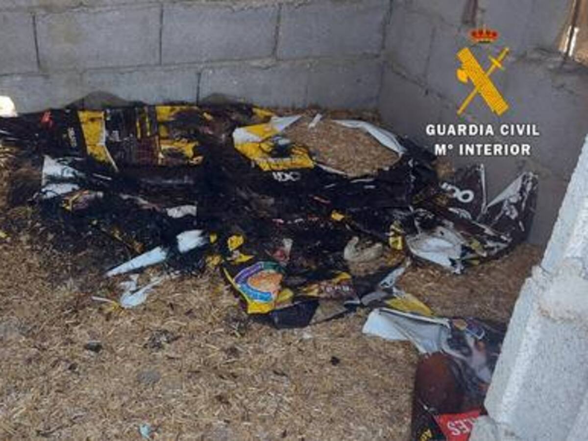 Investigan a un hombre acusado de la muerte de 25 perros, 14 de ellos cachorros, en Huércal-Overa