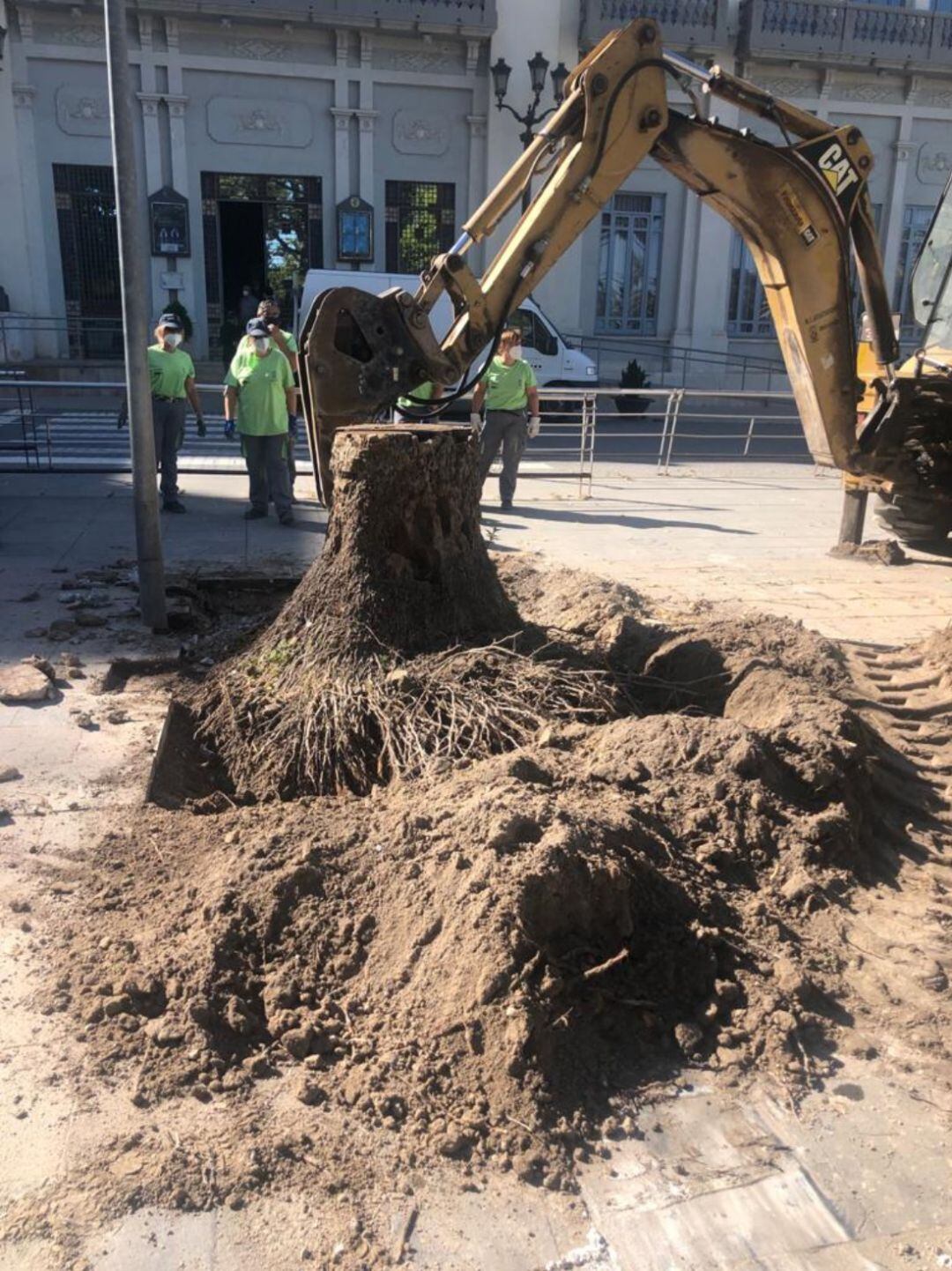 Momento de los trabajos en el Paseo Chapí