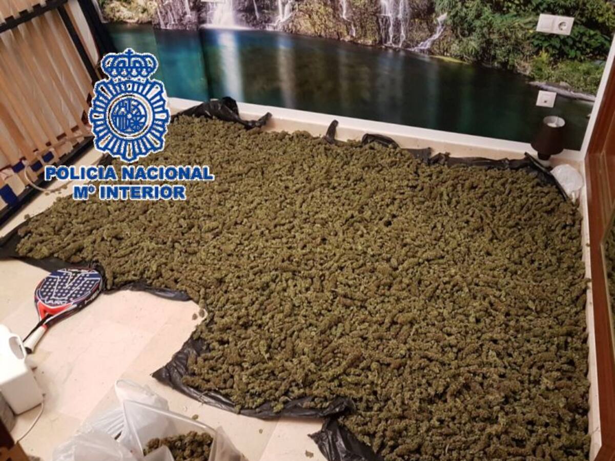 Cae una red que distribuía marihuana desde Málaga al resto del país y Holanda