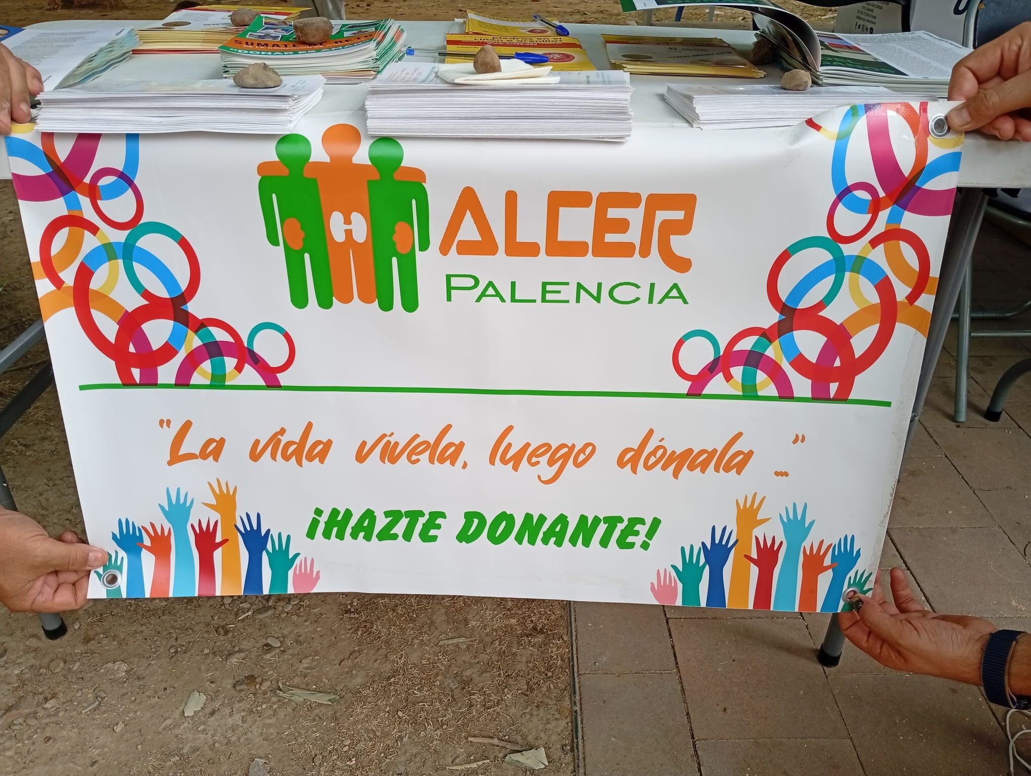 ALCER Palencia