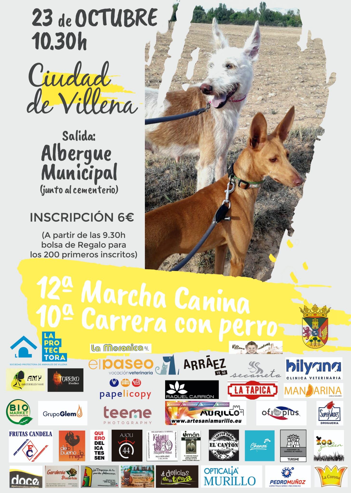 Cartel de la carrera