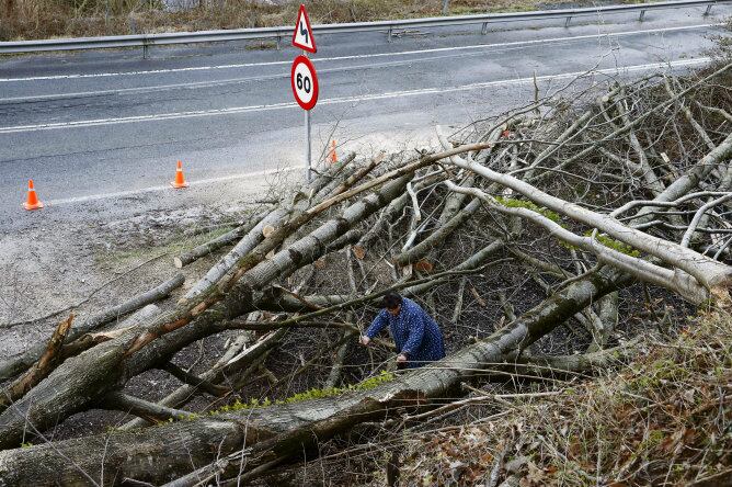 Una mujer intenta pasar entre las ramas caidas de un árbol sobre la carretera que da acceso a una borda con animales junto a la carretera N-121-A