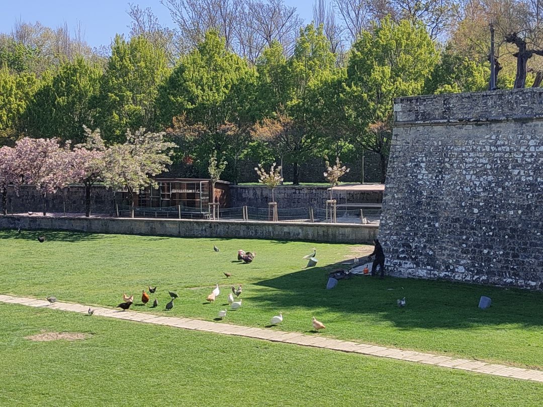 Imagen de la Taconera en Pamplona.