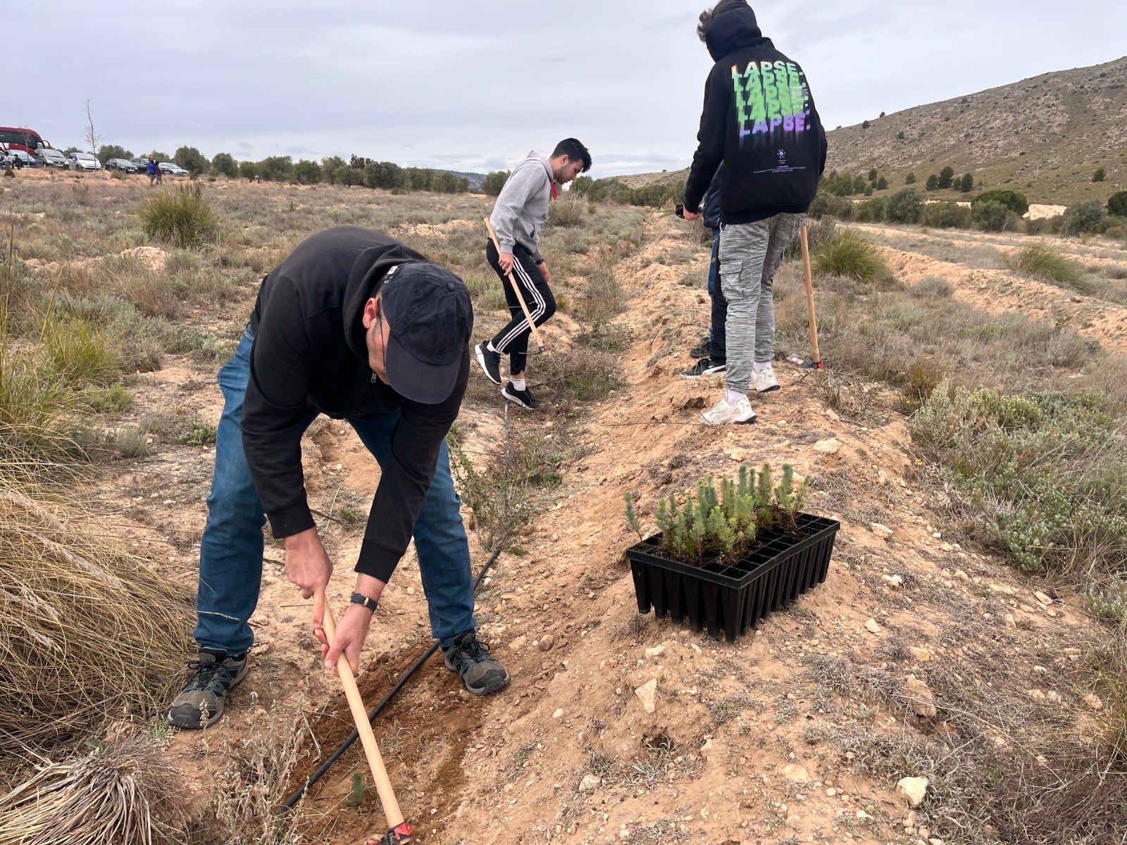 Momento de la plantación