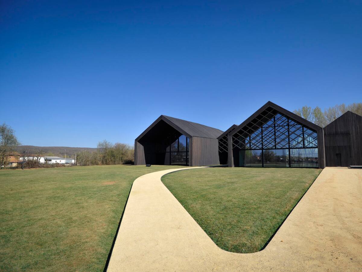 Actividades de verano de la mano de la Fundación Cerezales