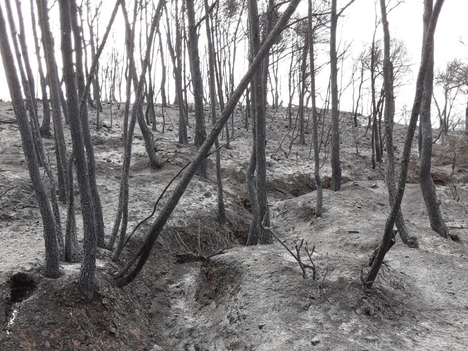 Cotes 426, 477,480 i 496 (Punta del Cucuc)