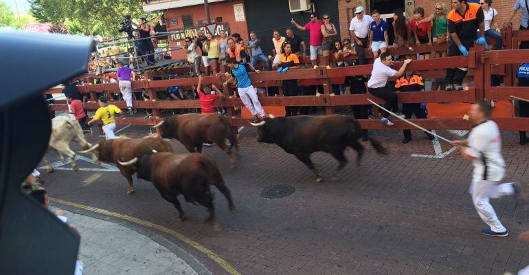 Encierro de Sanse del 26 de agosto de 2016