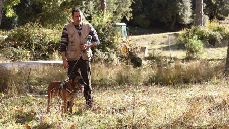 Exhibición de los equipos caninos contra los venenos