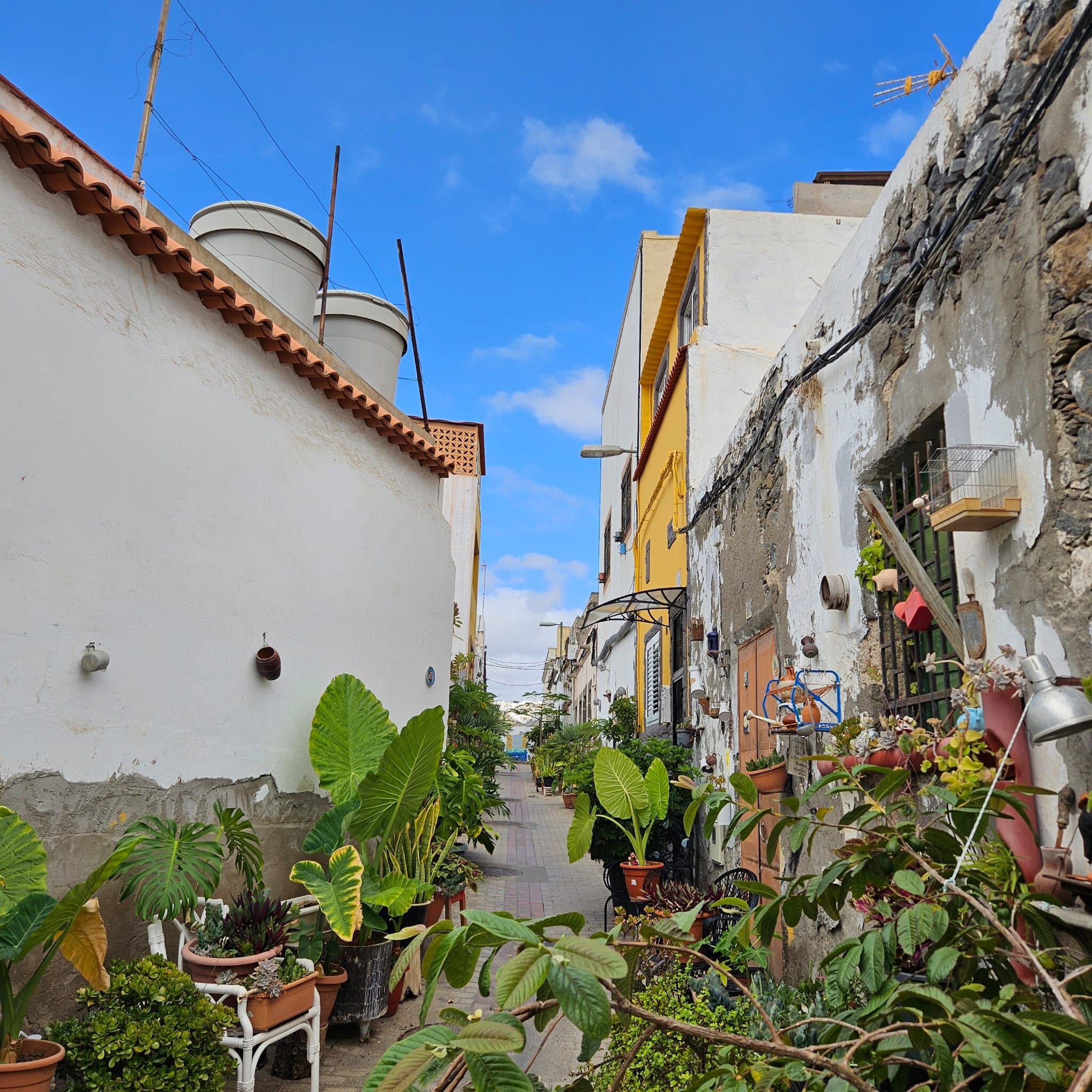 Los vecinos de El Risco de San Nicolás embellecen y adornan sus propias calles