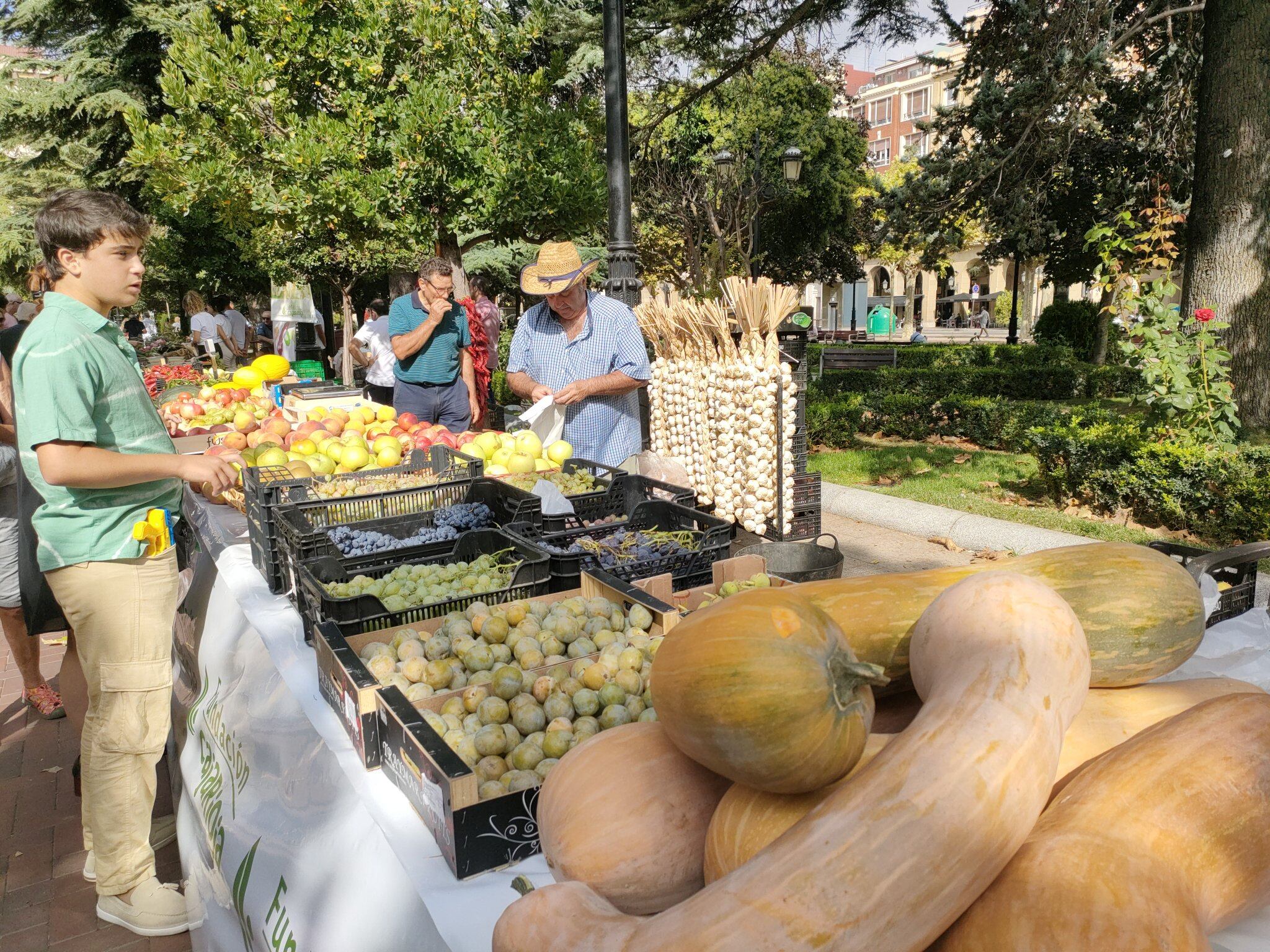 53 Concurso Agrícola de La Rioja