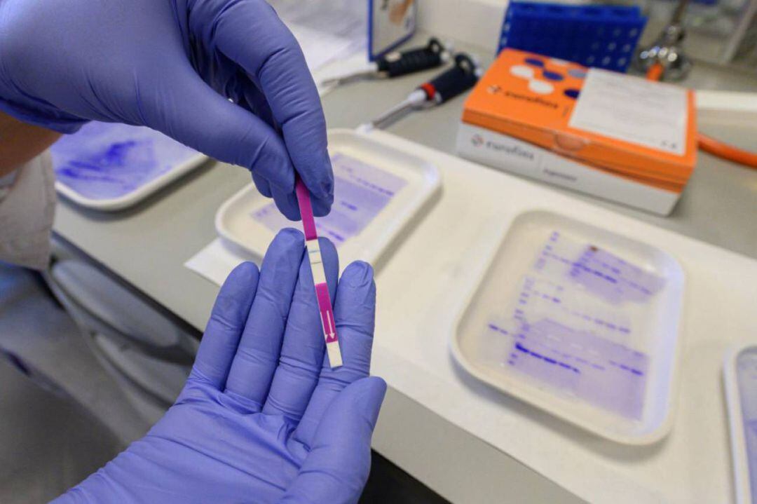 Miembros del laboratorio del grupo internacional Eurofins realizan test para detectar el Covid-19 