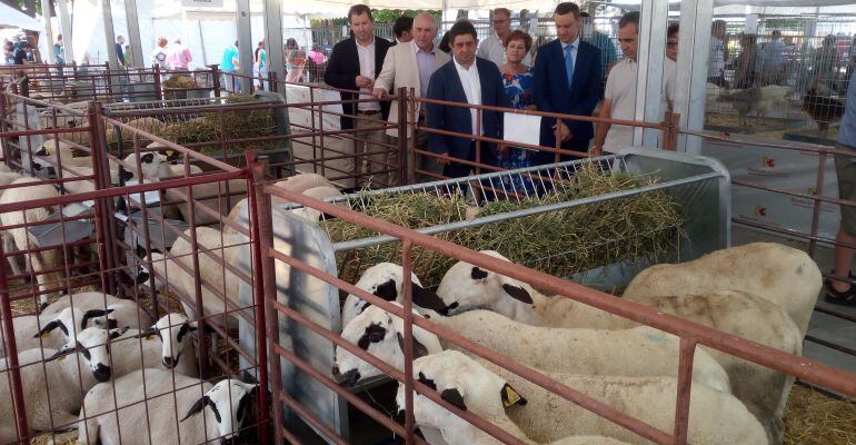 Representantes políticos visitan el apartado ganadero de Expohuelma.