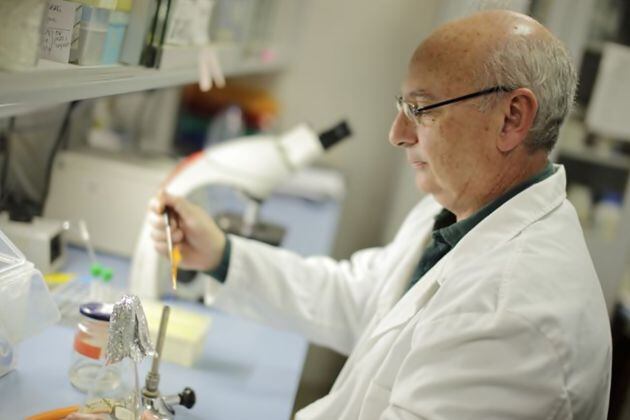 Francis Mojica en su laboratorio de la Universidad de Alicante