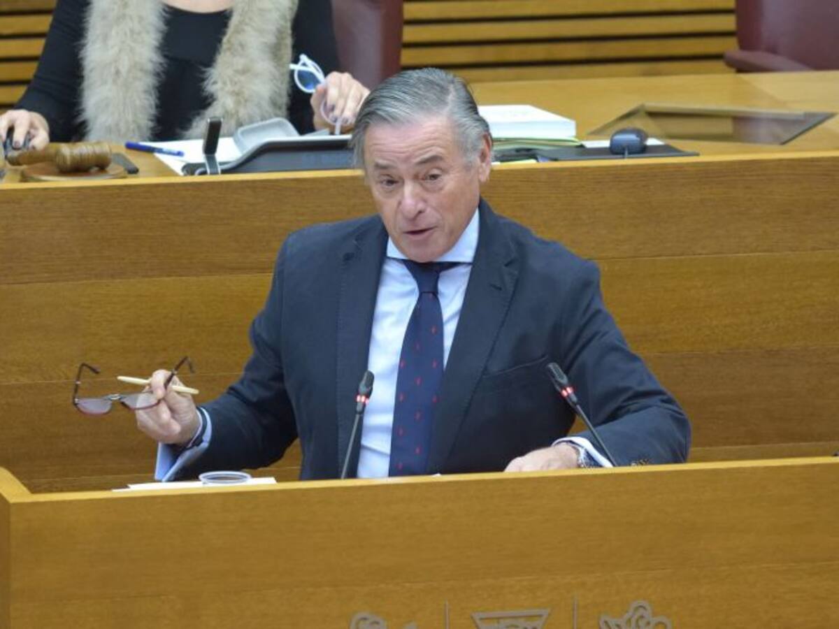 El PP urge en les Corts soluciones a los problemas educativos de Elche