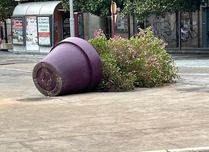 El temporal de viento ha provocado diferentes daños en Jaén.