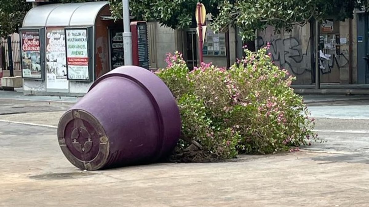 Una señal de tráfico cae sobre la cabeza de una mujer que ha sido trasladada al Hospital Neurotraumatológico de Jaén