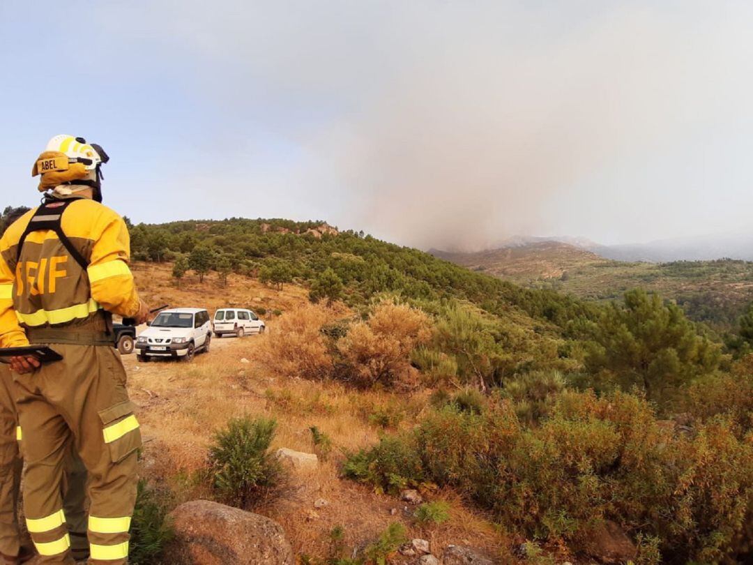 El fuego continuaba activo a primera hora de la mañana