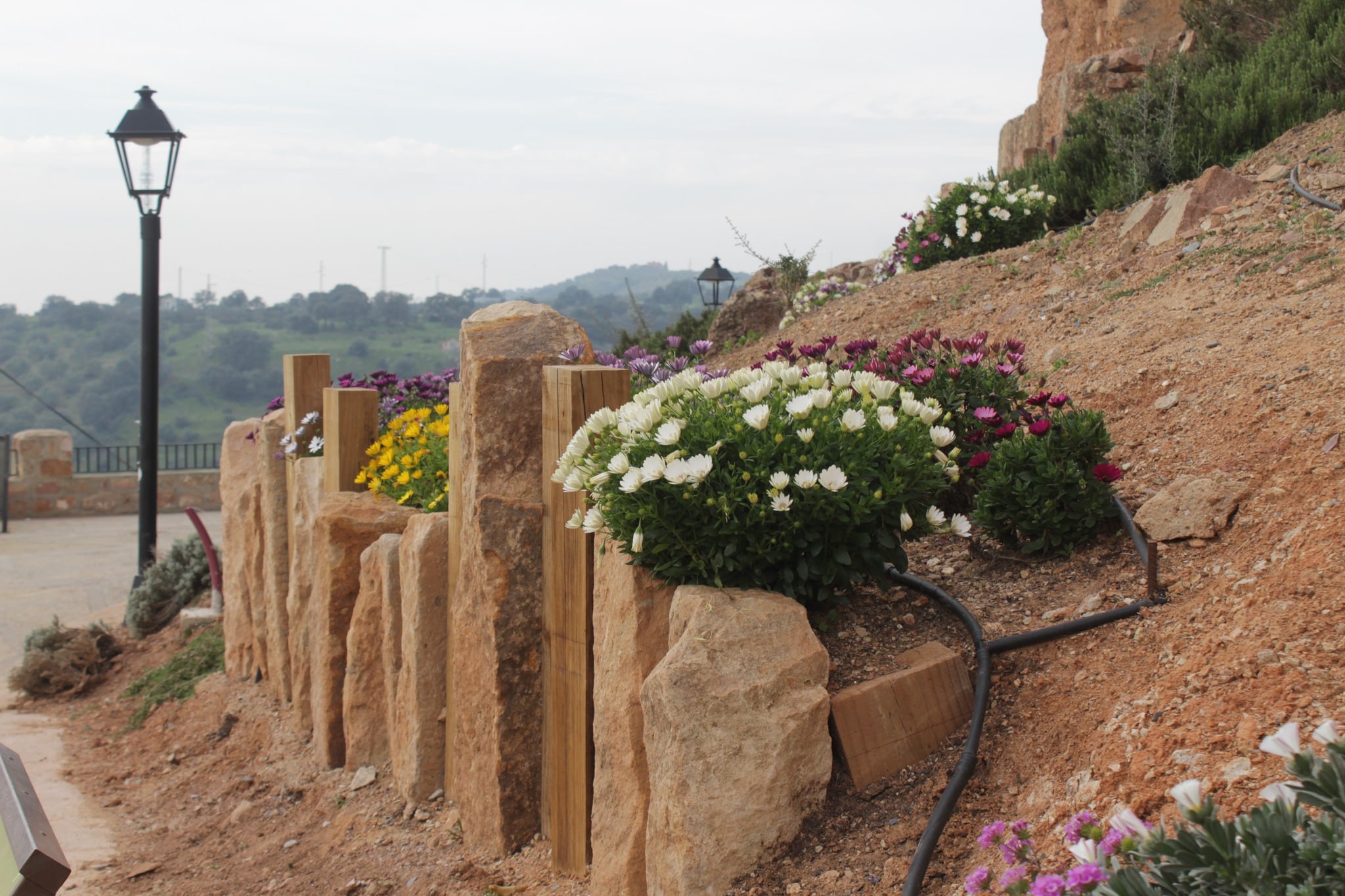 Alrededores del Castillo de Burgalimar embellecidos con flores.