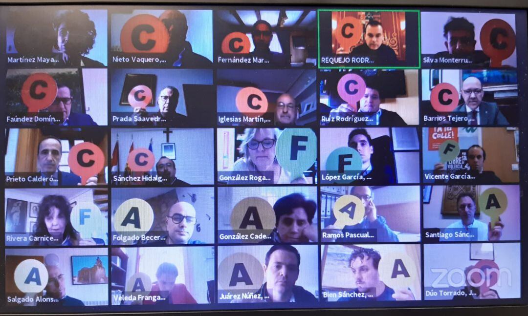 Una votación del pleno ordinario del mes de marzo realizado de forma telemática