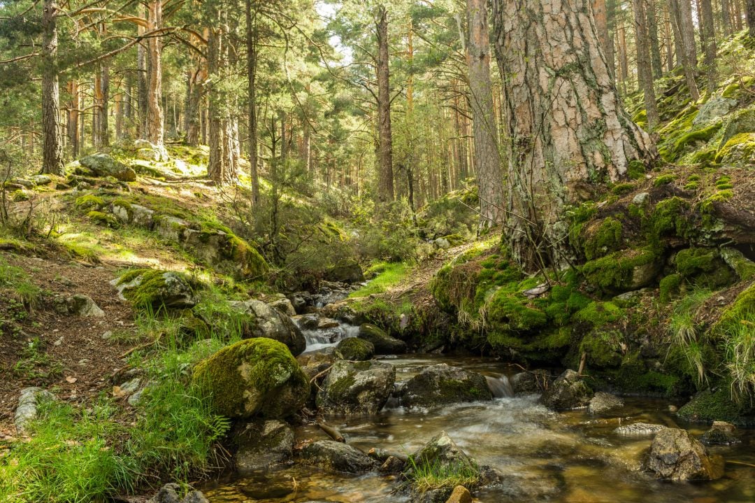 Uno de los planes que propone National Geographic vincula la sierra de Madrid con &#039;El Señor de los Anillos&#039;