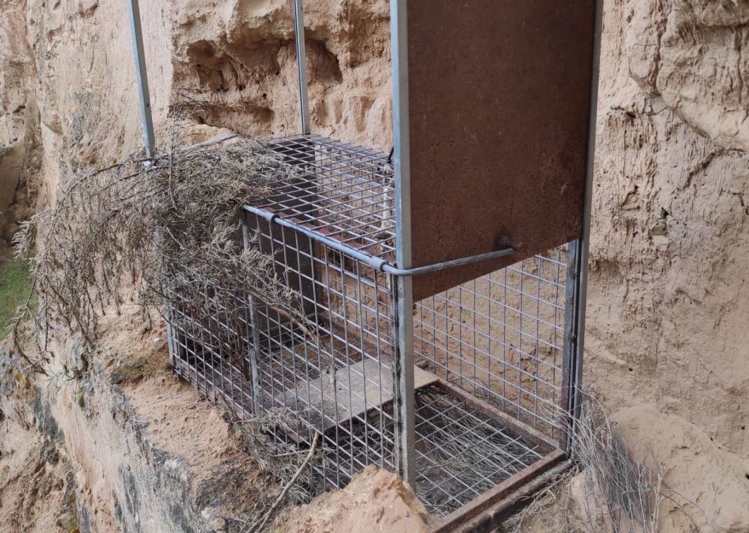 Imagen de la trampa decomisada