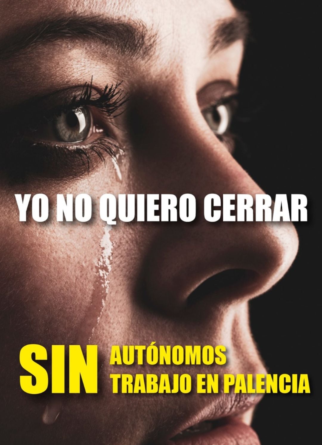 Los autónomos de Palencia se echarán a la calle el próximo lunes