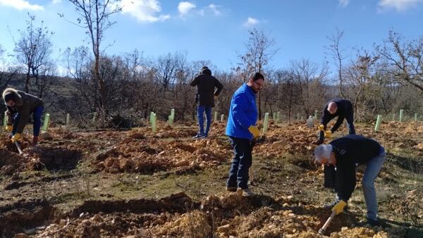 La plantación se llevó a cabo en la zona próxima a la ermita de San Mamés