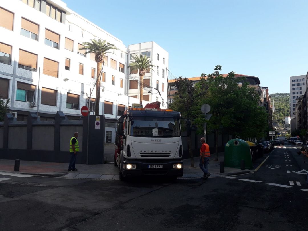 Maquinaria trabajando para la retirada de las dos palmeras centenarias en Abando